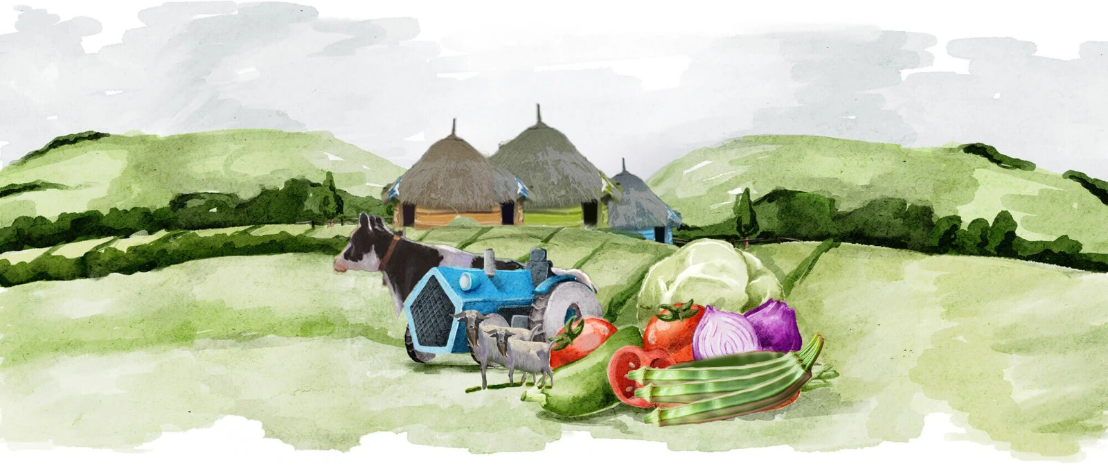 organic-farming-illustrations-01