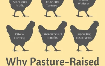 5 Major Benefits of Pasture Raised Chicken | Health & Flavor | Cowery Farms