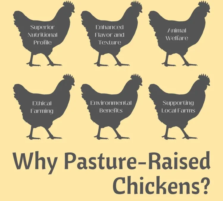 5 Major Benefits of Pasture Raised Chicken | Health & Flavor | Cowery Farms