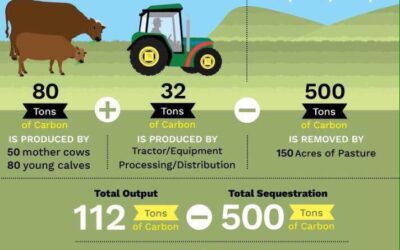 regenerative agriculture meat delivery/ Cowery Farms