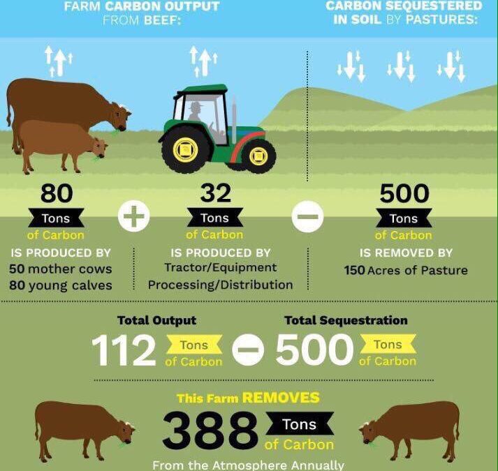 regenerative agriculture meat delivery/ Cowery Farms